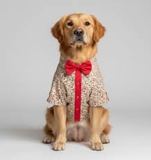 Pet Apparels